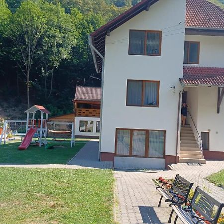 Pensiunea Casa David Şugag Esterno foto