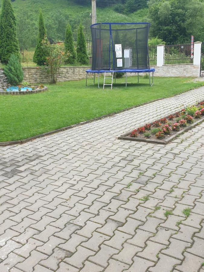 Pensiunea Casa David Şugag Esterno foto