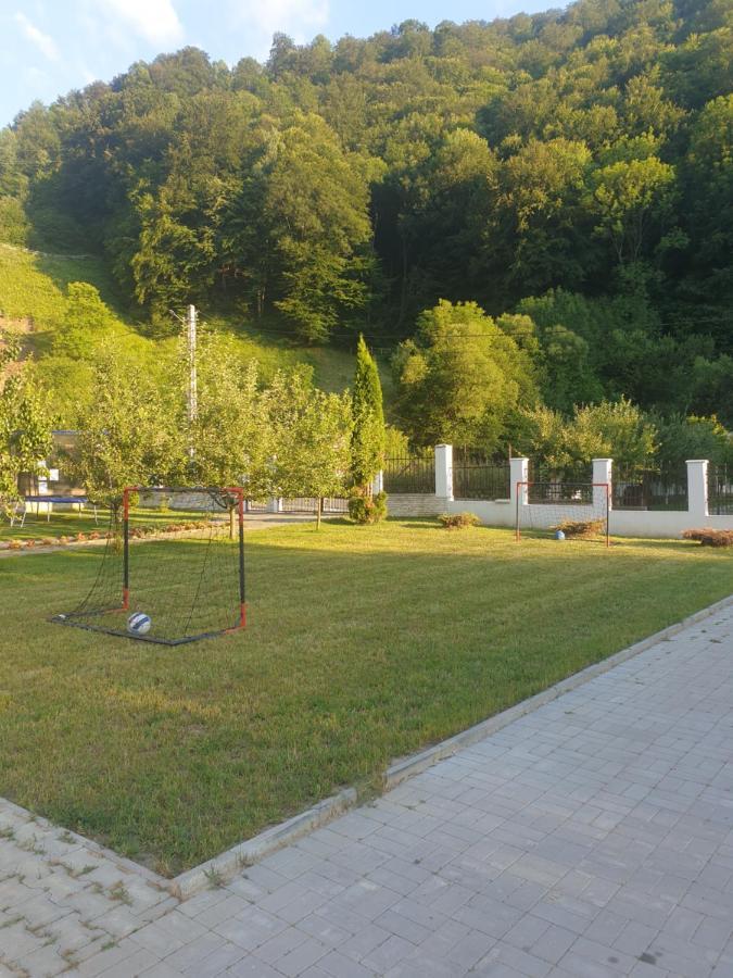 Pensiunea Casa David Şugag Esterno foto