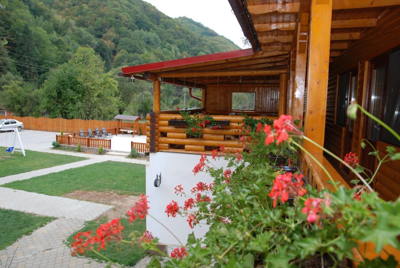 Pensiunea Casa David Şugag Esterno foto