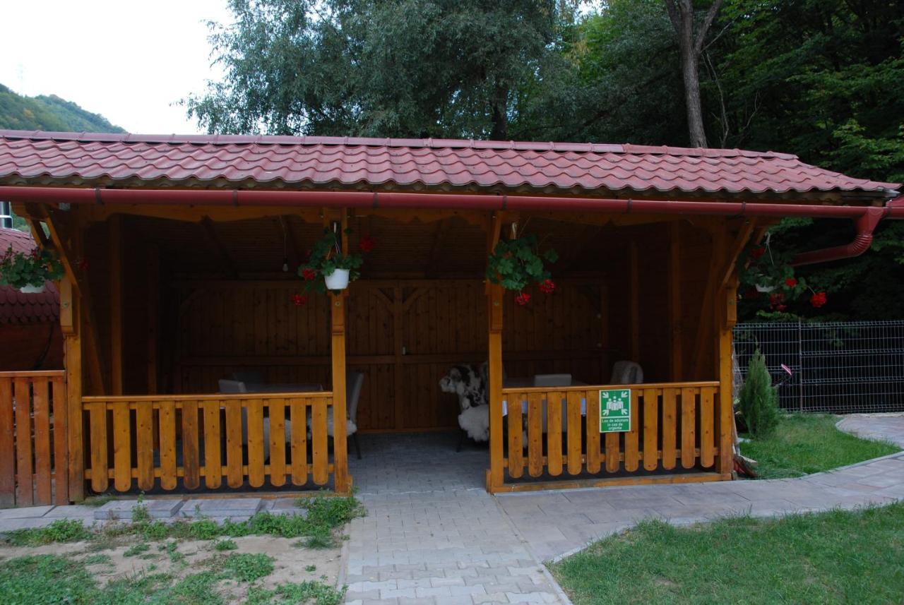 Pensiunea Casa David Şugag Esterno foto