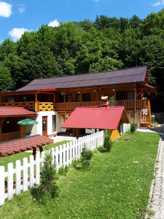 Pensiunea Casa David Şugag Esterno foto
