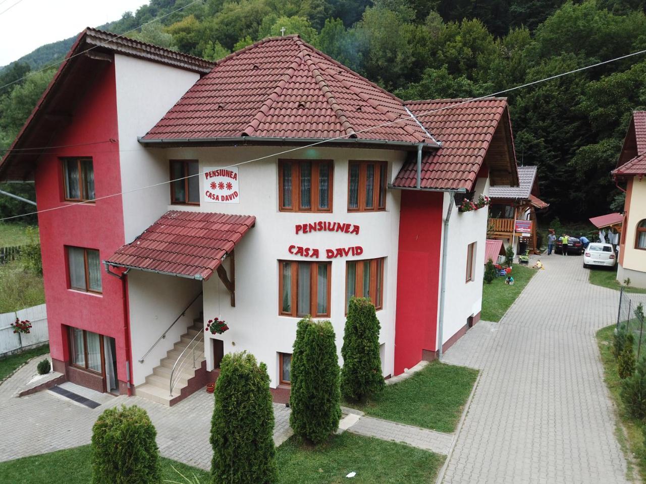 Pensiunea Casa David Şugag Esterno foto